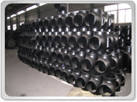 Carbon Steel Pipe Fittings